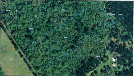 Undeveloped Land in Houston County, Texas