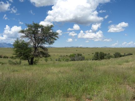 Land in Santa Cruz County, Arizona
