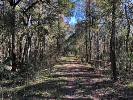 Undeveloped Land in Glynn County, Georgia