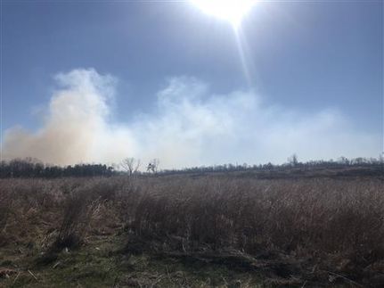 Undeveloped Land in Dickson County, Tennessee