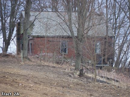 Timberland Property in Carroll County, Ohio