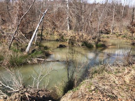 Farm and Ranch in Webster County, Mississippi