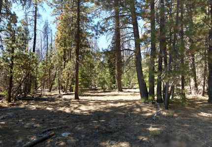 Undeveloped Land in Klamath County, Oregon