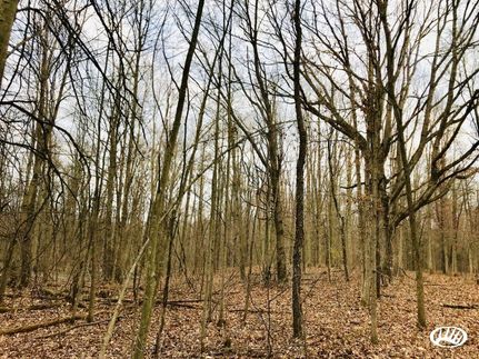 Recreational Property in Wayne County, Michigan