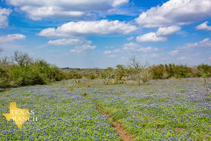 Undeveloped Land in Bee County, Texas