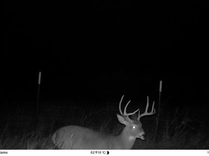 Farm and Ranch for sale in Edwards County, Texas