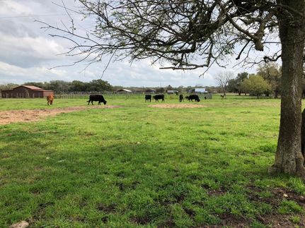 Recreational Property in Fayette County, Texas