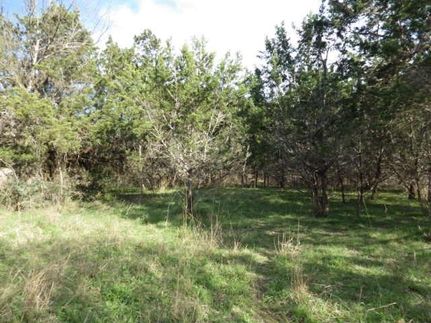 Land in Real County, Texas