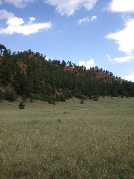 Farm and Ranch in Custer County, South Dakota