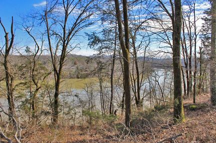 Timberland Property in Pulaski County, Kentucky
