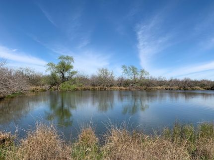 Farm and Ranch in Dimmit County, Texas
