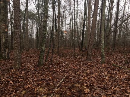 Land in Floyd County, Georgia