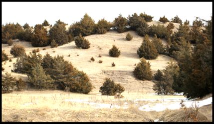 Undeveloped Land in Lincoln County, Nebraska