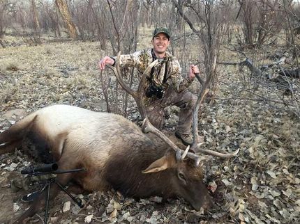 Land in Socorro County, New Mexico