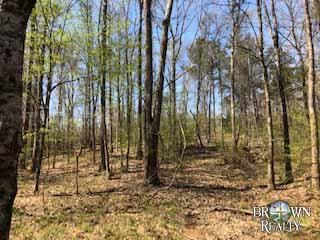 Timberland Property in Jefferson County, Mississippi