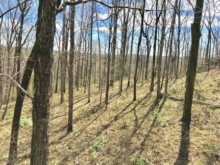 Farm and Ranch in Tuscaloosa County, Alabama