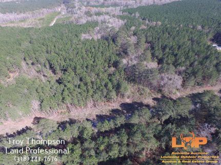 Timberland Property in Rapides Parish, Louisiana
