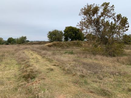 Farm and Ranch in Colorado County, Texas