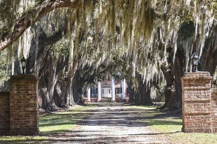 Commercial Property in Colleton County, South Carolina
