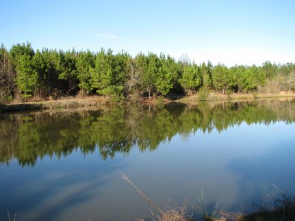 Recreational Property in Wilcox County, Alabama