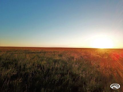 Timberland Property in Pueblo County, Colorado
