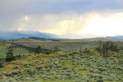 Undeveloped Land in Carbon County, Montana