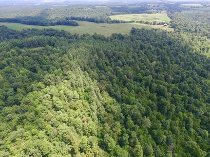 Land in Crittenden County, Kentucky