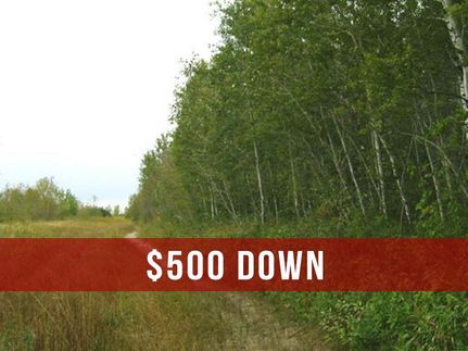 Land in Lake of the Woods County, Minnesota