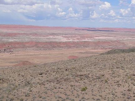 Timberland Property in Navajo County, Arizona