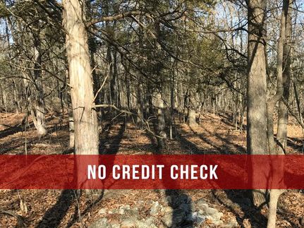 Undeveloped Land in Taney County, Missouri