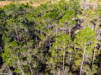 Hunting Property in Jefferson County, Florida