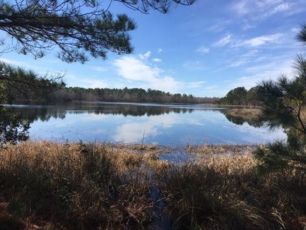 Farm and Ranch in Candler County, Georgia