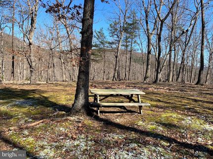Undeveloped Land in Hampshire County, West Virginia