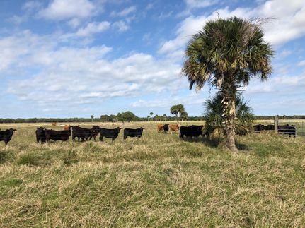 Recreational Property in Highlands County, Florida