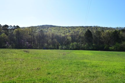 Undeveloped Land in Jackson County, Alabama