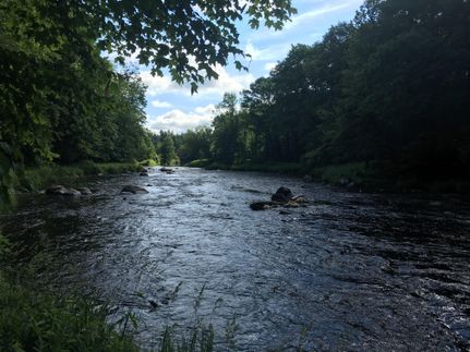 Undeveloped Land in Saint Lawrence County, New York