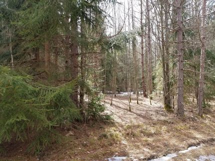 Land in Tioga County, New York