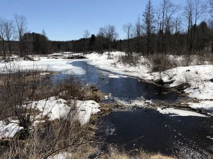 Undeveloped Land in Oneida County, New York