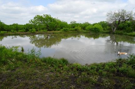 Timberland Property in Live Oak County, Texas
