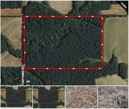 Farm and Ranch in Marion County, Illinois