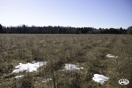 Farm and Ranch in Oceana County, Michigan