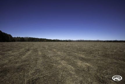 Timberland Property in Oceana County, Michigan