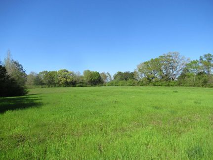 Recreational Property in Tallapoosa County, Alabama