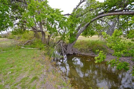 Timberland Property in Coryell County, Texas