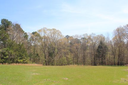 Timberland Property in Marshall County, Mississippi