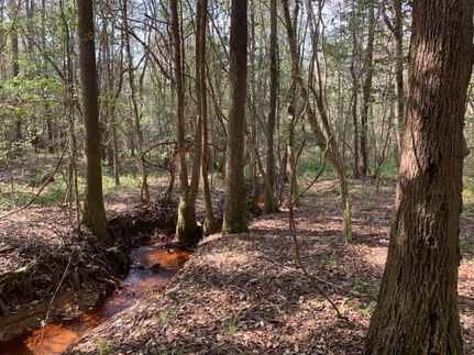 Farm and Ranch in Pike County, Alabama