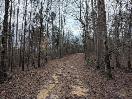 Recreational Property in Winston County, Alabama