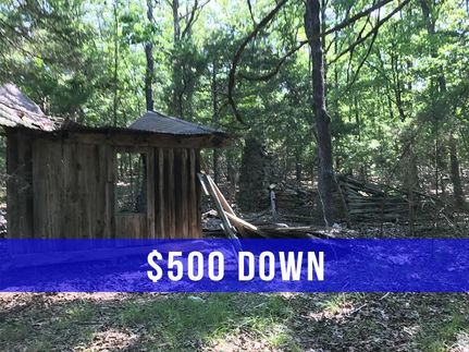 Undeveloped Land in Taney County, Missouri