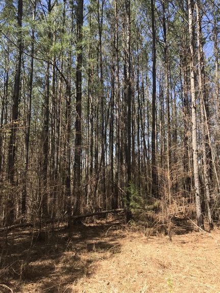 Farm and Ranch in Coosa County, Alabama