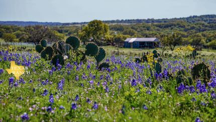 Land in Mason County, Texas